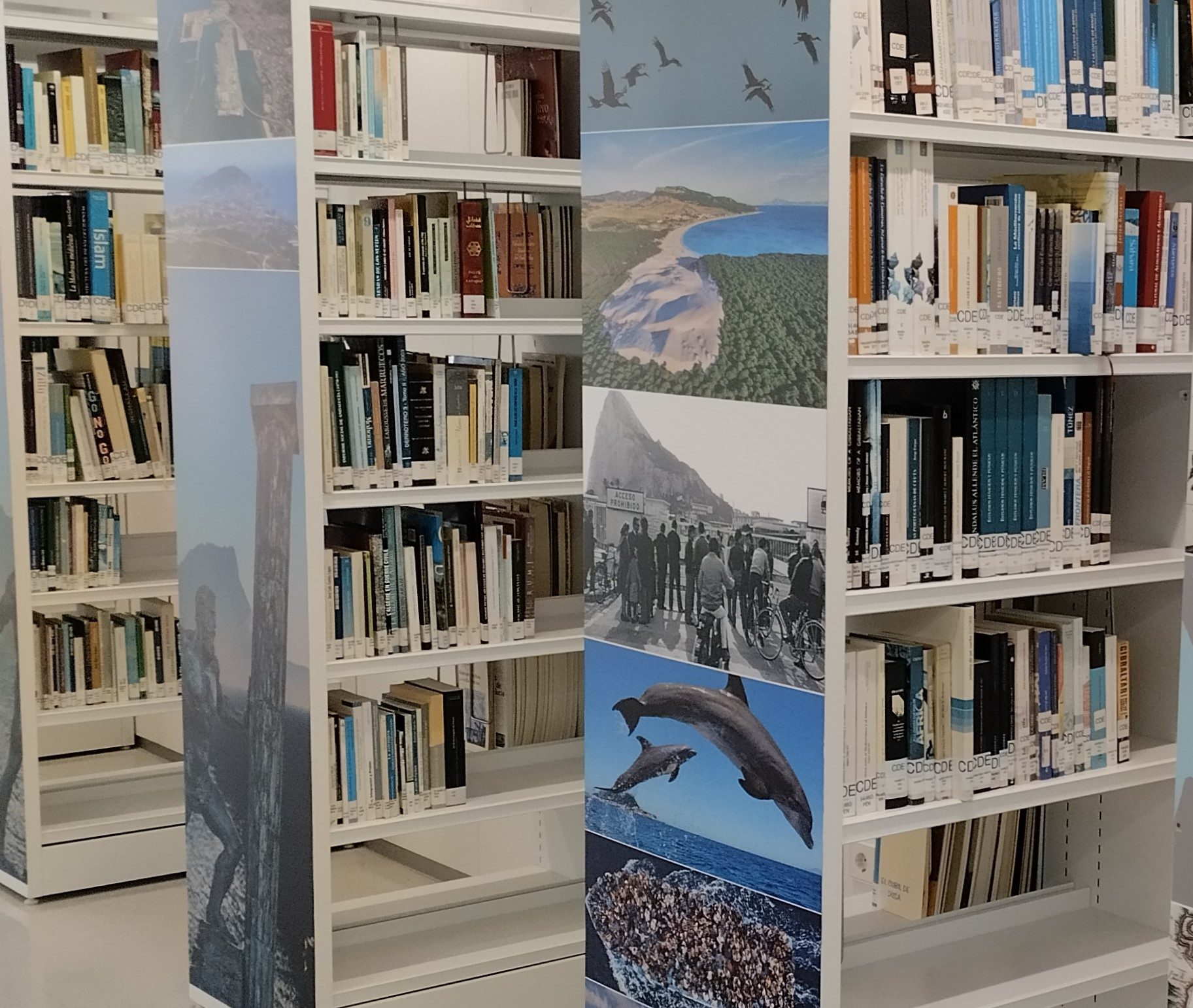 Visita del Cónsul General de Marruecos a la Biblioteca del Campus Bahía de Algeciras